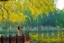 今足球比赛比分-今夜绿茵烽火，一场足球比赛比分背后的激情与思考