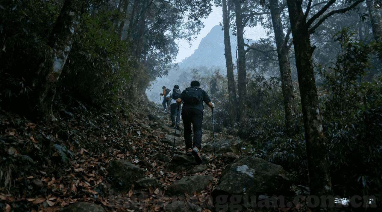 开云体育平台注册时间-开云体育平台注册时间，见证变革的力量