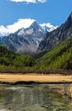 历届世界杯9号-历届世界杯9号，足球史上的传奇身影